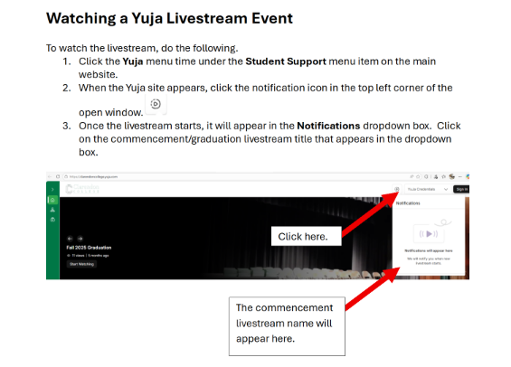 Live Stream Instructions